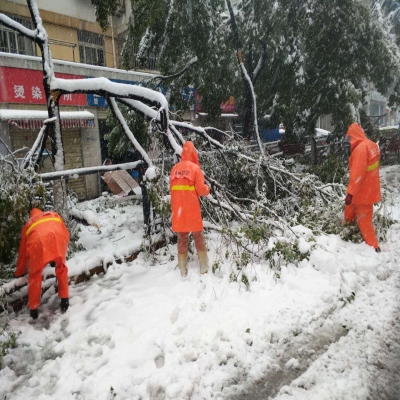 新站區(qū)道路清掃保潔、綠化管養(yǎng)項(xiàng)目
